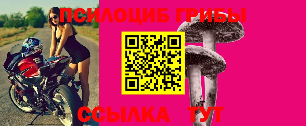 Псилоцибиновые грибы GOLDEN TEACHER Каспийск