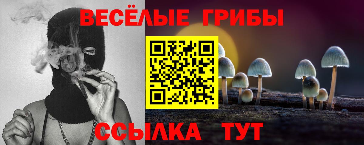 Псилоцибиновые грибы GOLDEN TEACHER  Вход с VPN  Псилоцибиновые грибы Psilocybe  Каспийск 